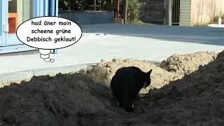 Der neue Garten