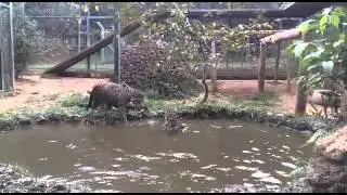 NEX- Jurema e Gaia brincando na água