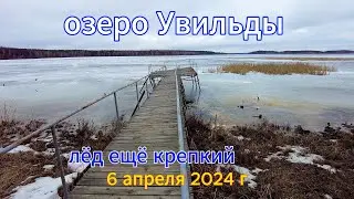 Приехали на дачу снега уже мало 6 апреля 2024 г