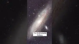 The Andromeda Galaxy #space #astronomy #astrophotography #shorts #youtubeshorts