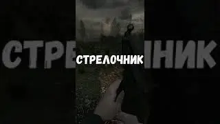 Туда нам надо! СТАЛКЕР 