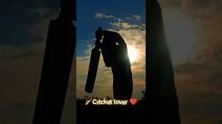 The Ultimate Cricket Lover's Guide | 