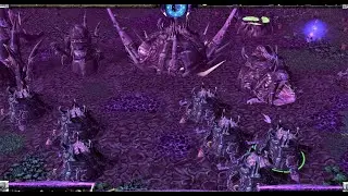 Warcraft 3 Race Gameplay - (Hour of Twilight) Faceless Ones - Custom Race