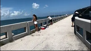 Trên đường đến Key West Florida. Biển rất đẹp nơi đây.