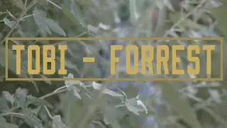 TOBI - Forrest