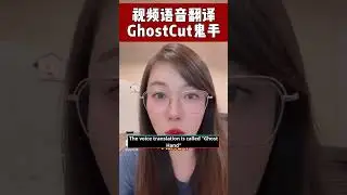 Dub Video Translation tool: GhostCut one click translation