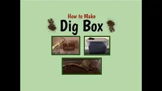 How to Make a Rat Dig Box