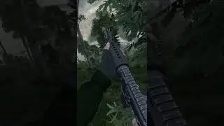 When There's No Survivors in DayZ