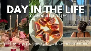Random Moments of my Life Vlog | Galentines day, PR Packages, Trader Joe’s & more