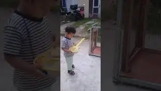 Aidan main gitar untuk Kucing 😆