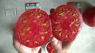 Дегустация 2024 - №13