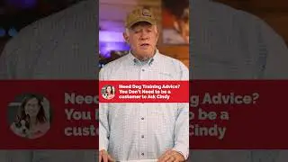 Have a dog training question? Ask Cindy!