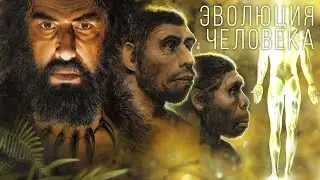 How did Human Evolution take place on Earth?