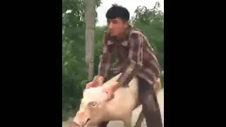 когда велосипед сломался