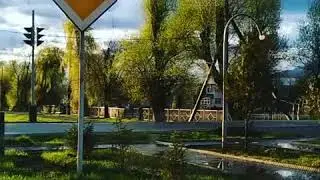 Токтогул