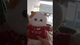 мой кот ночью 😂🤣🤣😂😂: