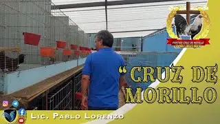 La imagen del Avicultor Deportivo 🐓