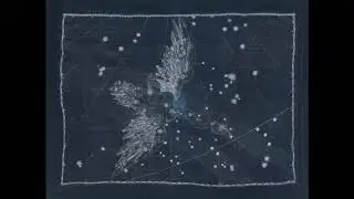 Coffeeshop - Лебедь (Swan)