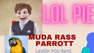Laugh to the funny Parrot story. Kiss me rass Parrot