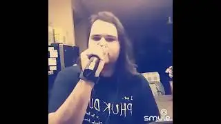 Four Walls - While She Sleeps (Vocal cover)