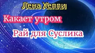 Лена Хеппи жрёт торты на камеру, какает по утрам. Селиму ничего не дарила. 