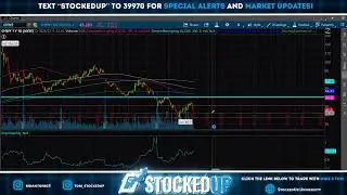 DraftKings Stock Earnings Review + Top Stocks Today- STOCKS LIVE