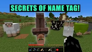5 Secrets Of Minecraft  Name Tags And How To Use Them .