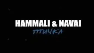 HAMMALI&NAVAI-птичка