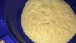 Икра судака, смотри нас в Дзене на канале Бурские кулинары
