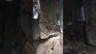 Разведка. Первая ловушка с роем, вторая на подходе.