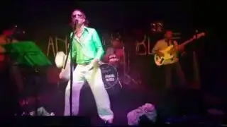 Al Kaselzer & the STEE CATS - Blue Suede Shoes - Live!