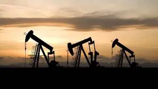 Oil sinks to 6-month low as US supply surge eases Iran fear | Must Watch |