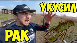 ВЛОГ: ЛОВЛЮ РАКОВ РУКАМИ, УКУСИЛ РАК, БОЛЬНО