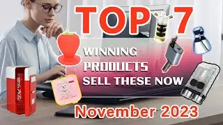 Wefulfil Top Winning Product