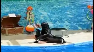 ПРИСЛАНО