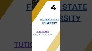 Top 10 Cheapest Universities in the USA for 2024 | #internationalstudents  #scholarship #shorts