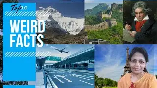 Top 10 Weird & funny Facts You Must Know