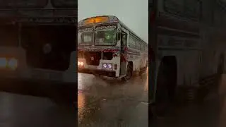 Colombo Heavy Rain #viral #viralvideo #4k #trend #rain #shorts #colombo #srilanka