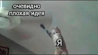 Сверх короткий стрим | [ OSU, Genshin Impact ]
