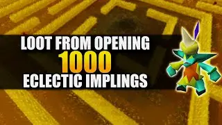 Loot From Opening 1000 Eclectic Implings (30+ Medium Clues)