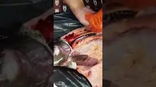 Здоровью не повредит