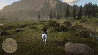 Red Dead Redemption 2_20240505074505