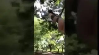 Девушка неудачно спустилась на тарзанке, а затем зависла в воздухе