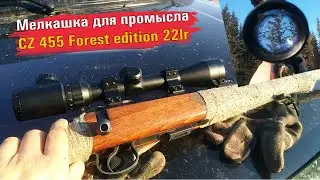 Мой обзор на мелкашку ЧеЗет для промысловой охоты. Оптика Bushnell (китай)