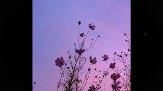 [FREE] Post Malone Country Type Beat "Back Home" (Prod. IOF)