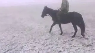 тяж джигит