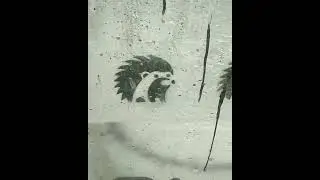 Камеди клаб  ежик😀