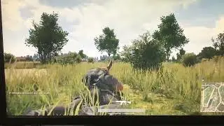 Wow PUBG 7 years ago. 2017 - 2024