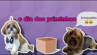 Socializando a minha cachorrinha com outros cachorros - o priminho dela