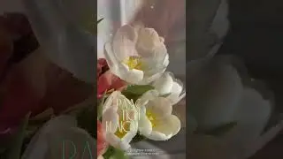 Для Настроения! ❤🌷
